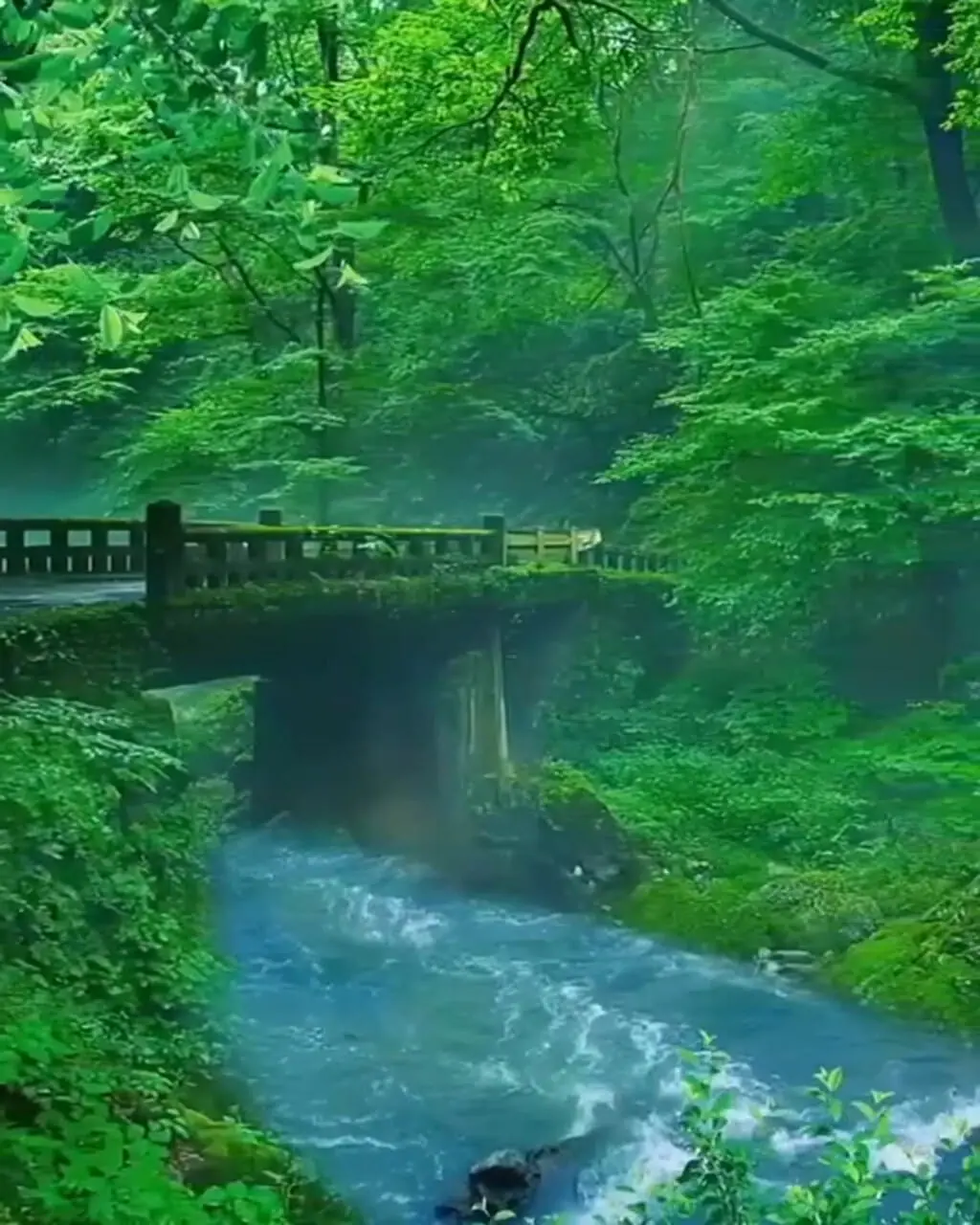 فیلم الهام بخش جلوه شاعرانه پل در میان مه