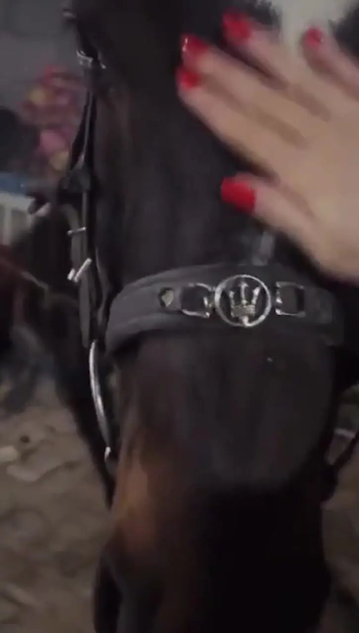 فیلم / غزاله اکرمی، بازیگر سریال سوجان بعد از خودکشی با عزیزش رفع دلتنگی کرد/ خدارو شکر که باز تونستم ببینمت