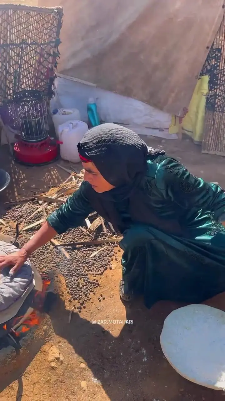 من عشایرزاده ام / من قوانین طبیعت را می دانم + فیلم