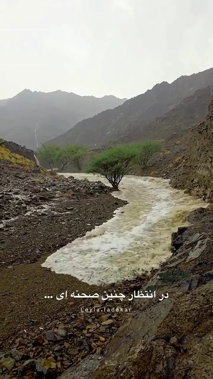 فیلم جاری شدن آب در بستر خشک رودخانه