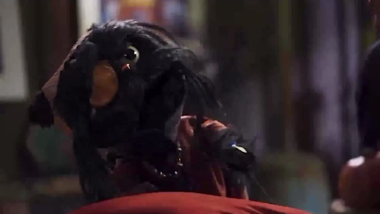 افتو گربه رامبد جوان وقتی کاپوت میبینه دوست داره بره توش!!