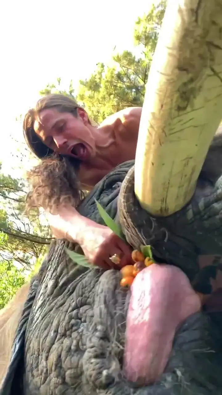 فیلم دوستی دیدنی مرد با فیل