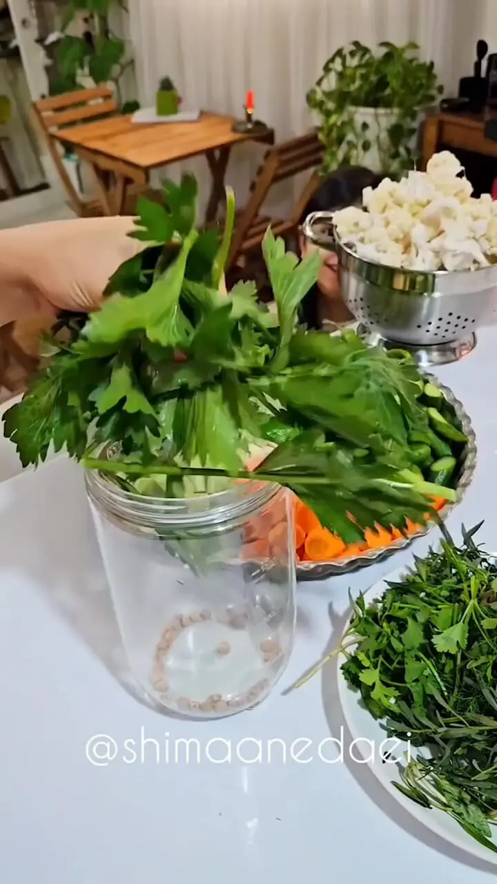 فیلم طرز تهیه ترشی شور مخلوط خانگی