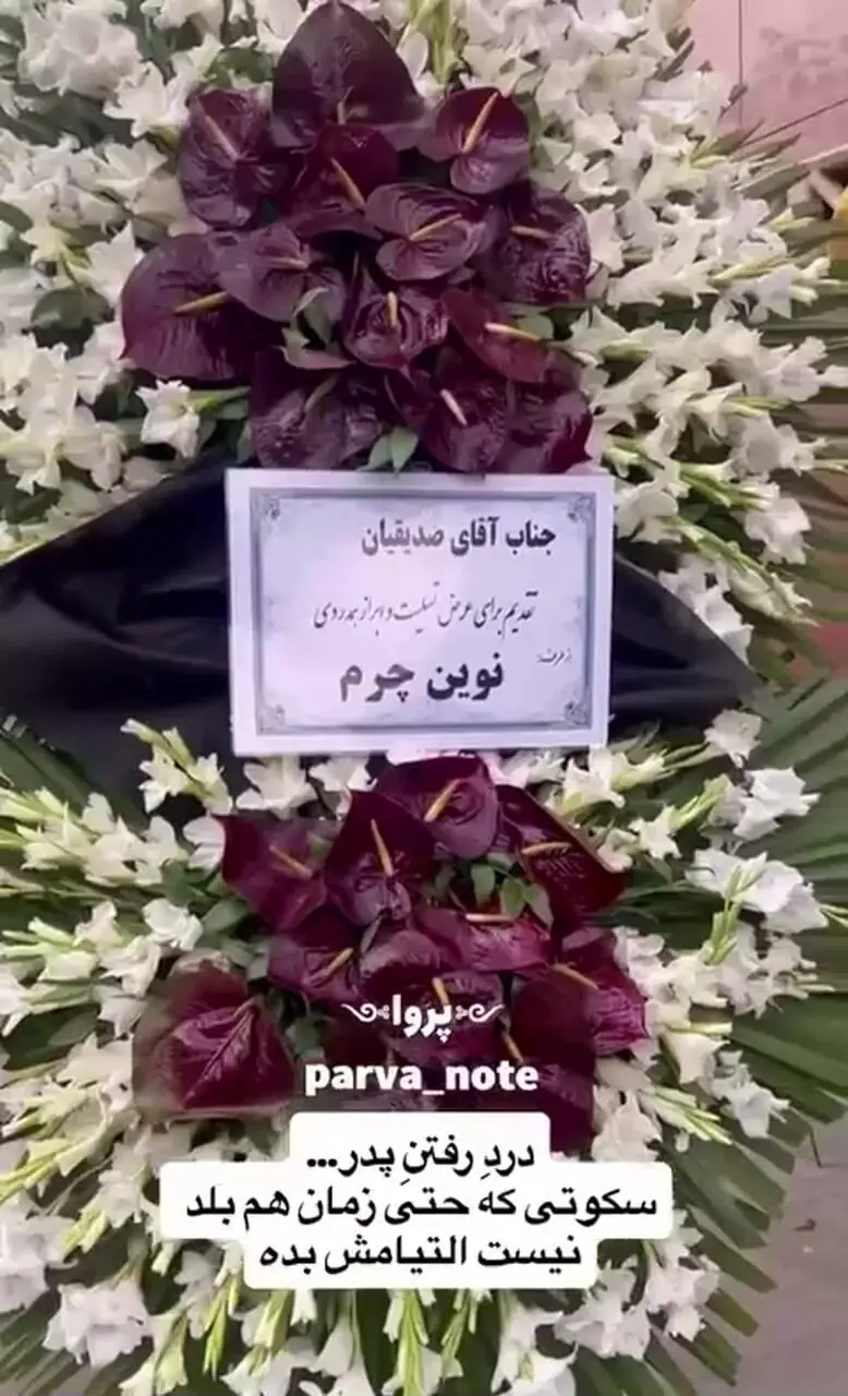 فیلم / بازیگرانی که با ارسال گل تسلیت و حضور در مراسم یادبود پدر مهرداد صدیقیان باعث دلگرمی او شدند/ گلاره عباسی، پردیس پورعابدینی، رفقای سریال جان سخت و پوست شیر، امیرمحمد زند و...