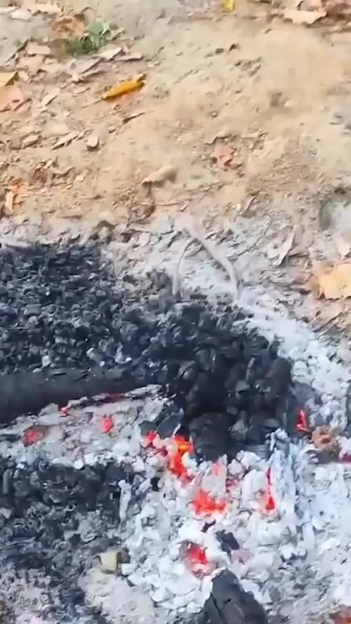 فیلم/ استوری جنجالی سمیرا حسن پور بازیگر سریال جزرومد/ طبیعت نیاید! از طبیعت گردی تون متنفرم!/ بزرگوار لطفا تا بیکار میشی سر از طبیعت درنیار