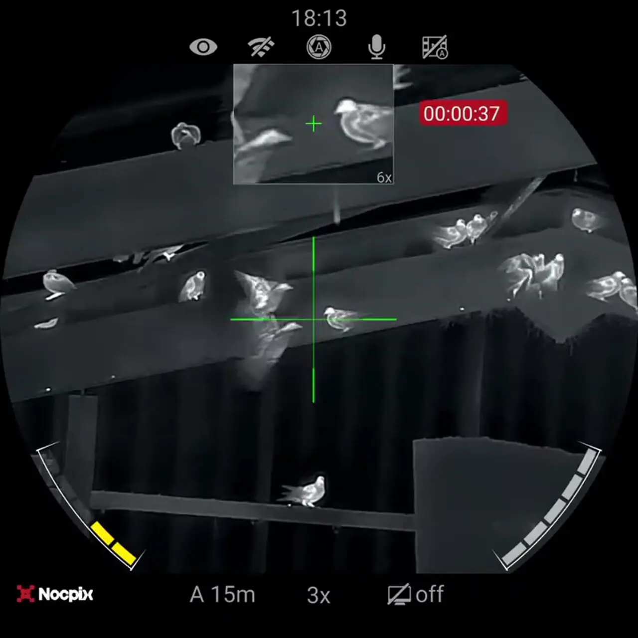 فیلم کشتار کبوتران در شب با اسلحه