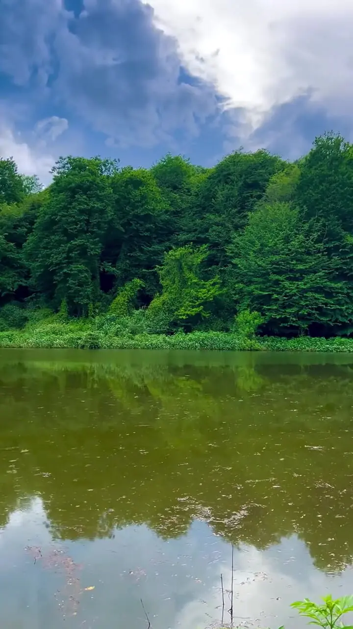 فیلم بکرترین دریاچه گیلان در رودبار