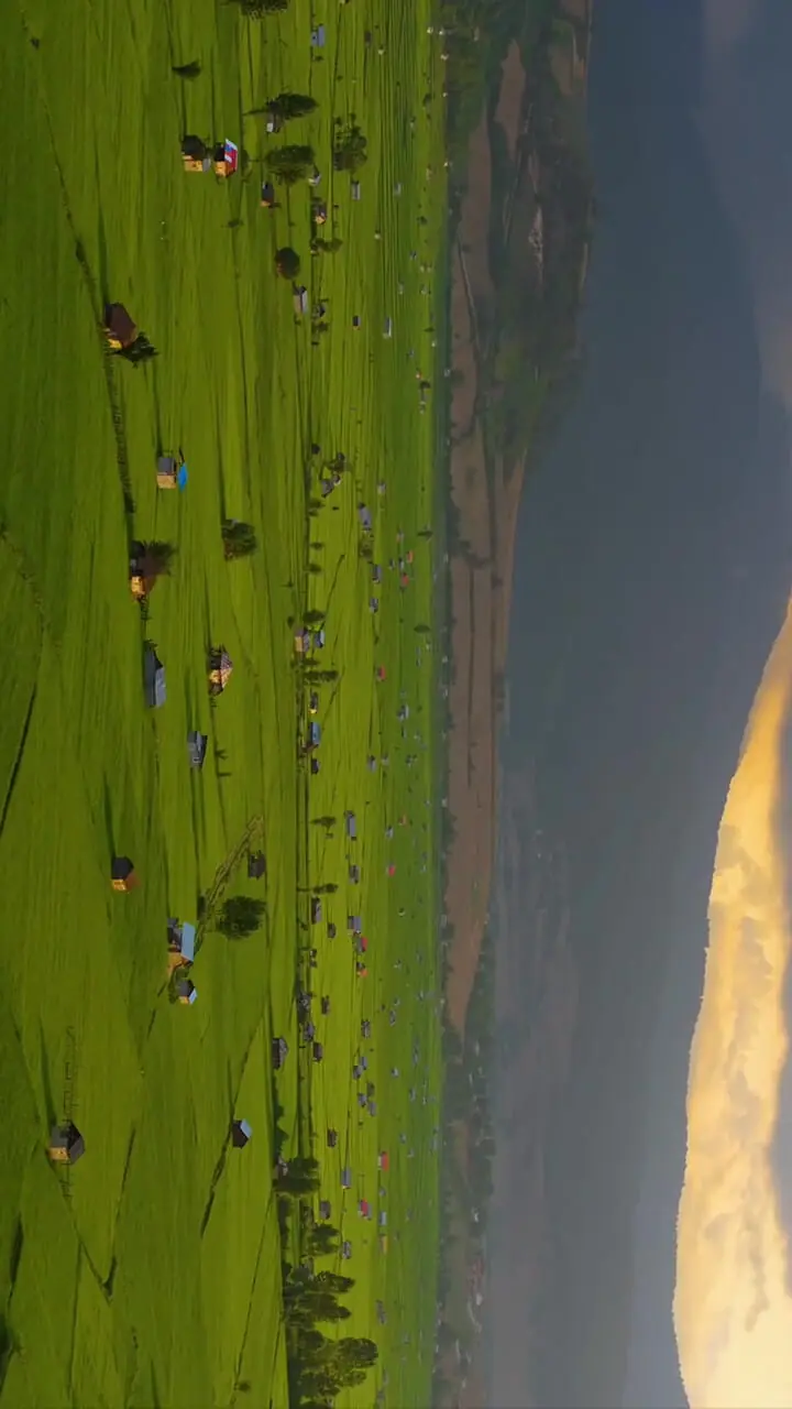 فیلم زیبایی کم‌نظیر شالیزارهای کوهستان شمال ایران