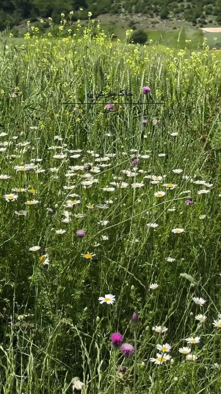 فیلم خاک حاصل‌خیز و پر برکت ساری مازندران
