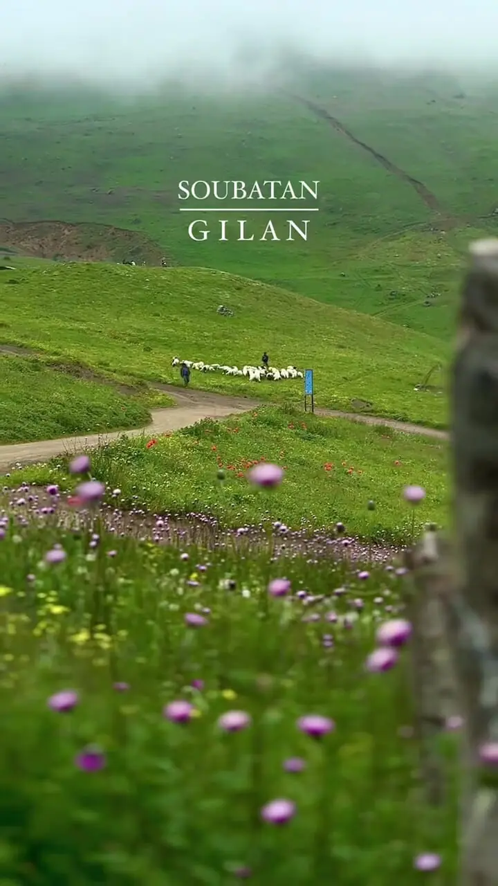 فیلم طبیعت بکر سوباتان در ارتفاعات گیلان