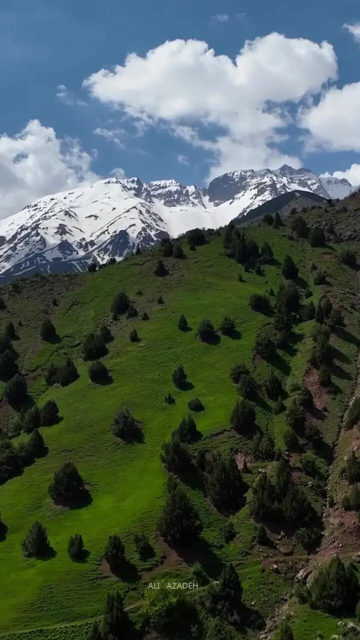 فیلم مناظر دیدنی و کوههای سرسبز الموت