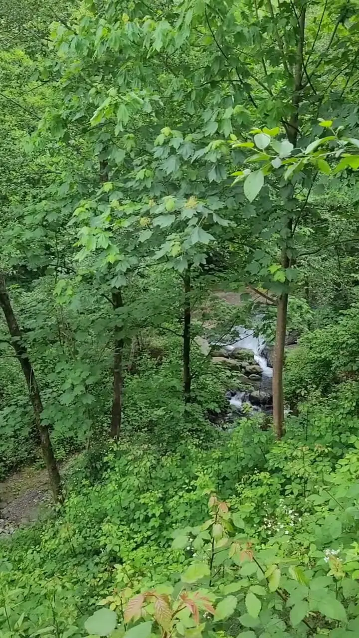 فیلم رانکوه املش / پایتخت طبیعت گیلان