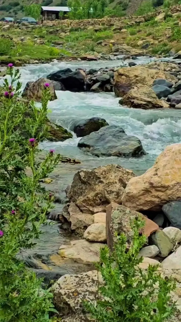 فیلم طبیعت بکر روستای دلیر چالوس