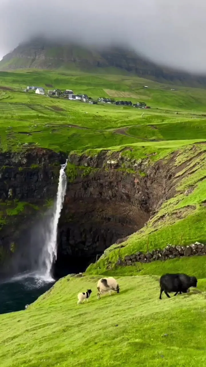 فیلم جزایر فارو دانمارک / بهشت گوسفندان و طبیعت