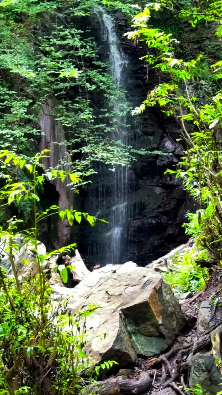فیلم آبشار دیدنی در مسیر پیاده روی لنگرود به چالدشت