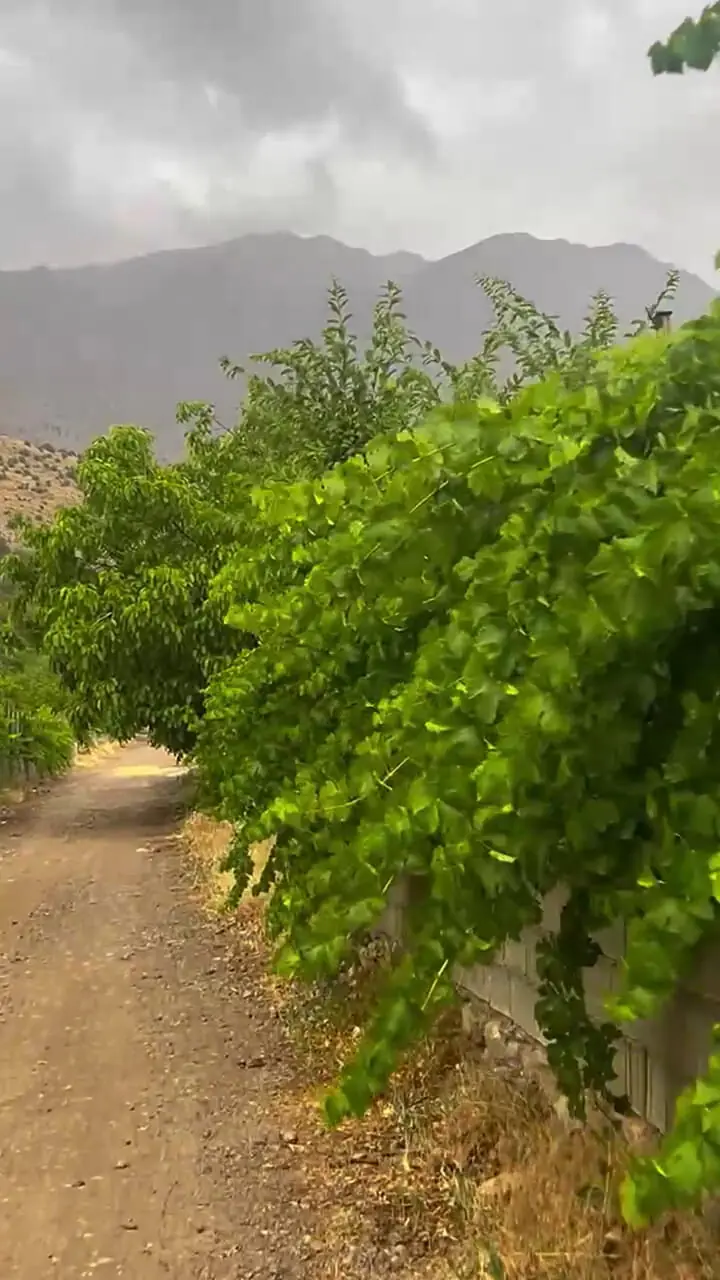 فیلم مسیر سی سخت / بهشت گمشده جنوب ایران