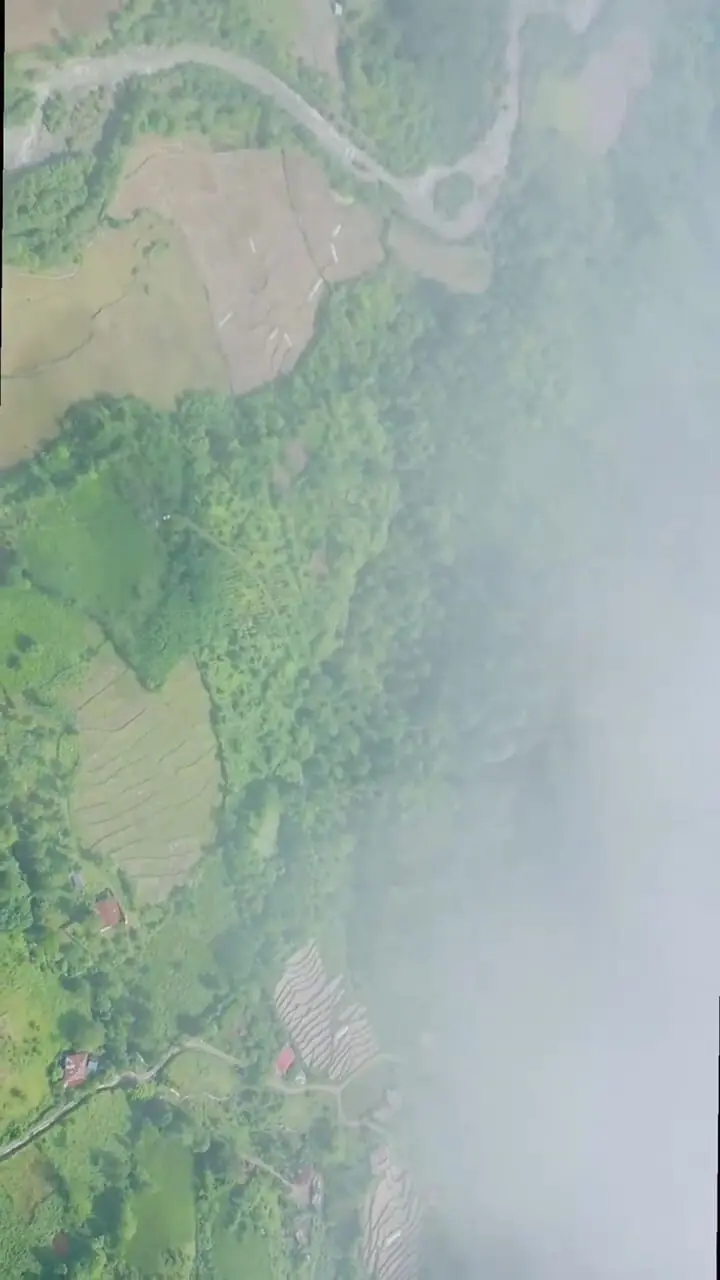 فیلم جنگل‌ها و دشت‌های سرسبز شفت گیلان