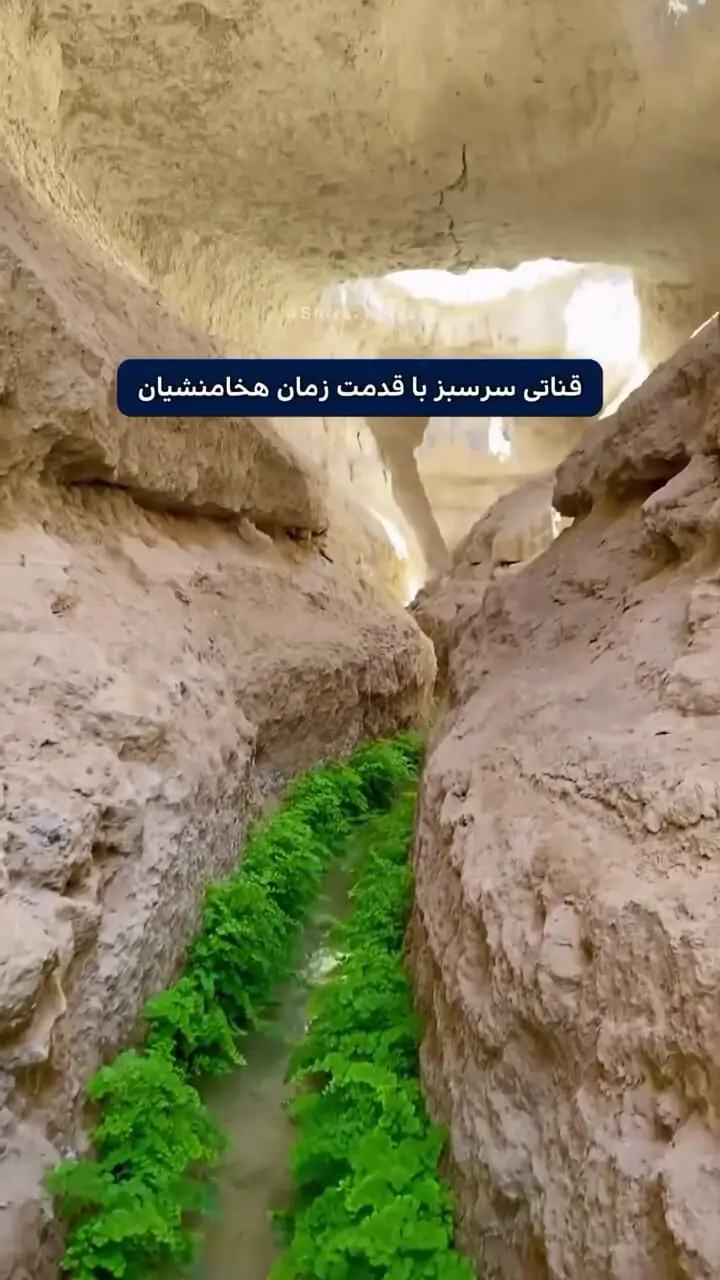 فیلم قنات نوآبان / منبع آب سرو کهنسال