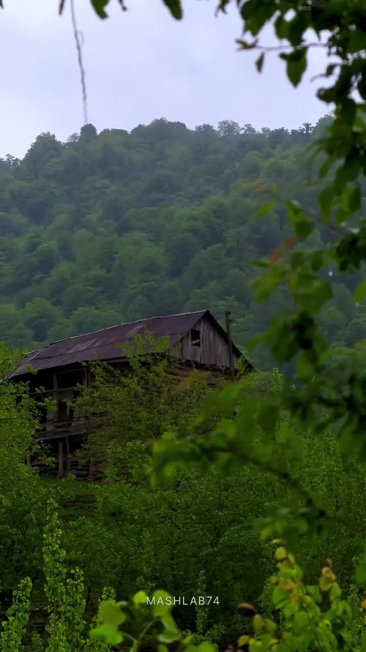 فیلم طبیعت سرسبز روستای خریون بندپی شرقی