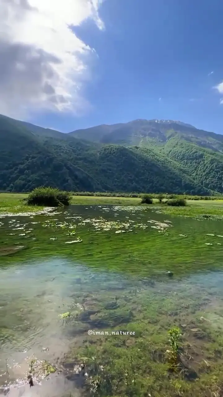 فیلم دشت دریاسر تنکابن مازندران