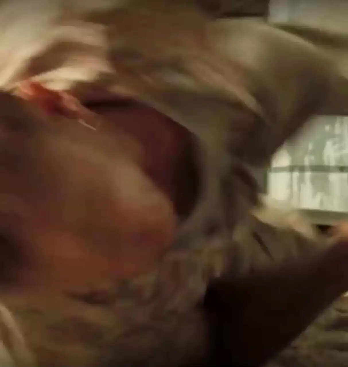 یکی از دیدنی ترین سکانس های اکشن تاریخ سینما به انتخاب Men's Journal + فیلم