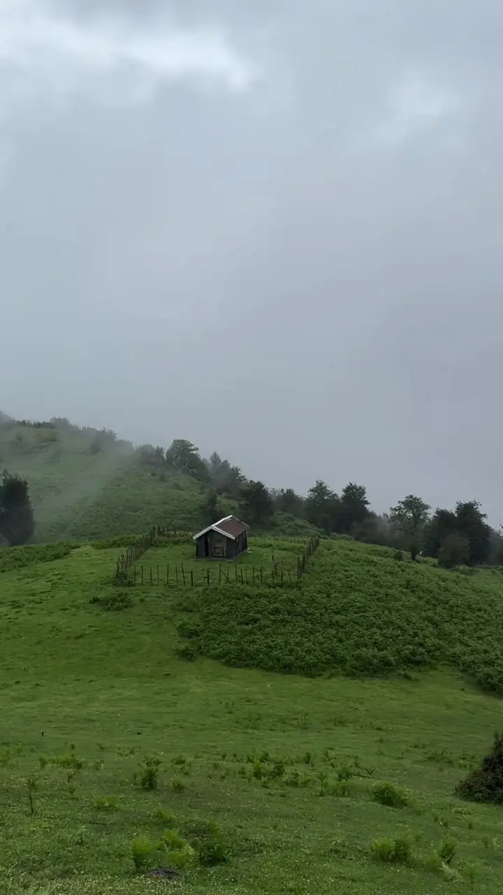 فیلم مناظر مه آلود و بارانی در اولسبلانگاه