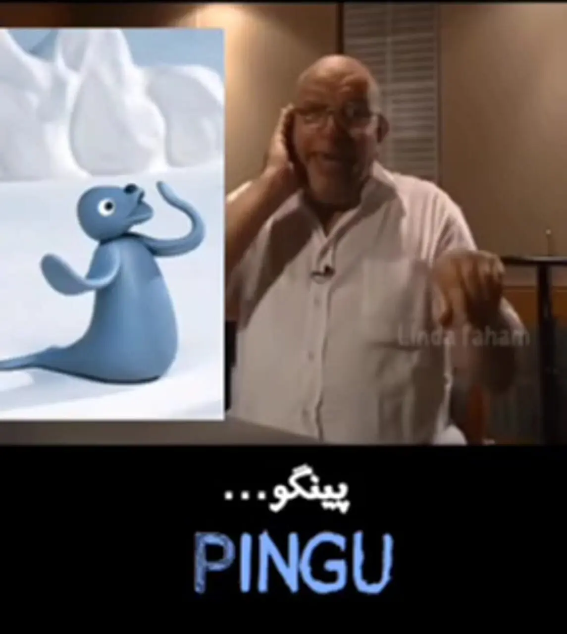 فیلم / صدای ماندگار پینگو در کودکی که همه می‌شناسند