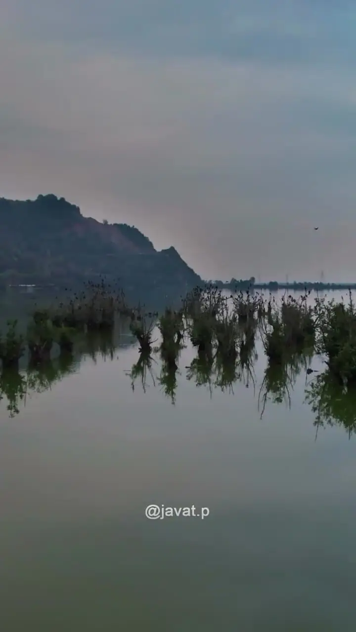 فیلم طبیعت بکر تالاب استیل آستارا