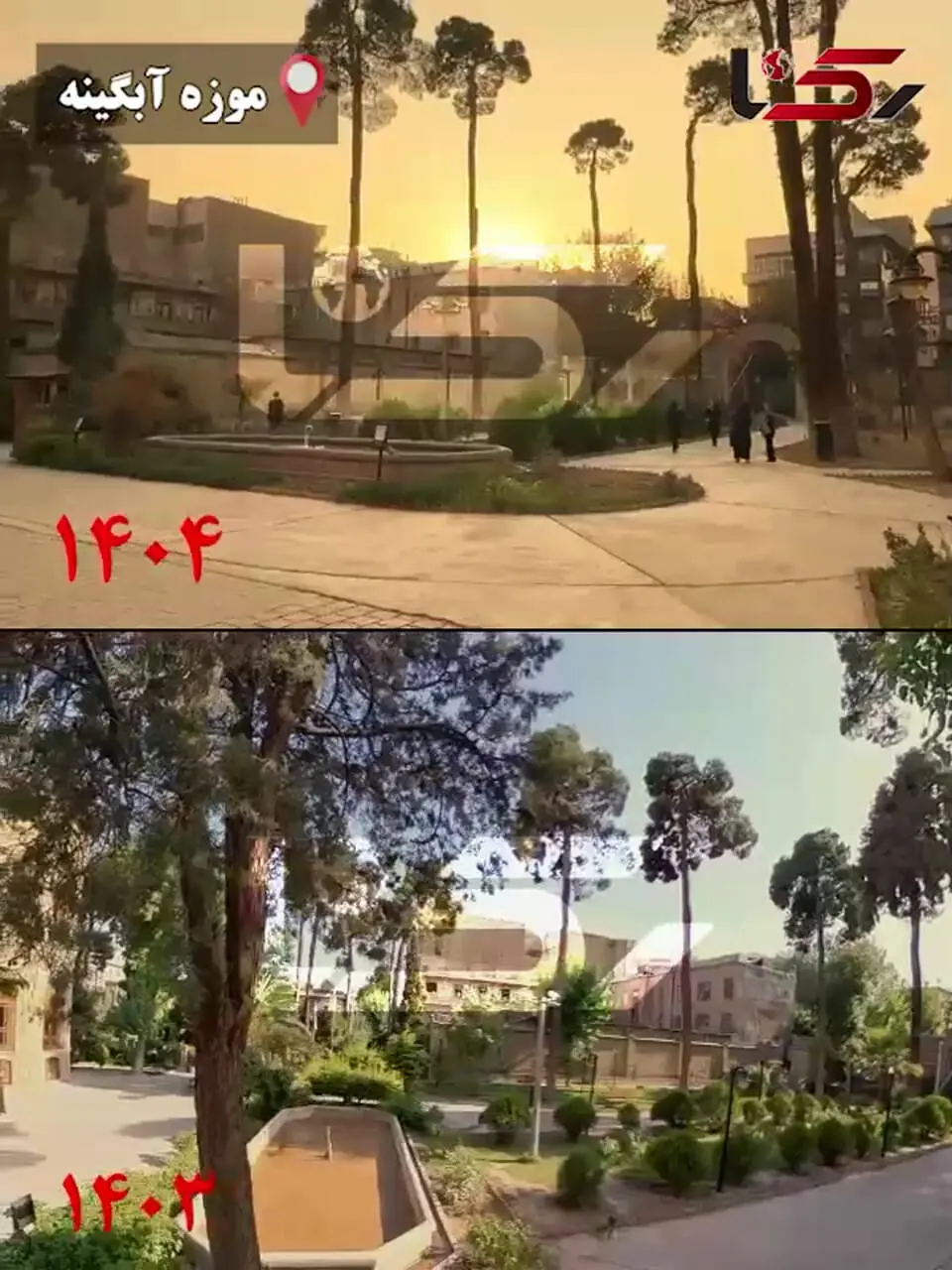 قطع ۱۴ درخت و درختچه در موزه آبگینه؛ میراث فرهنگی همچنان سکوت کرده است + فیلم