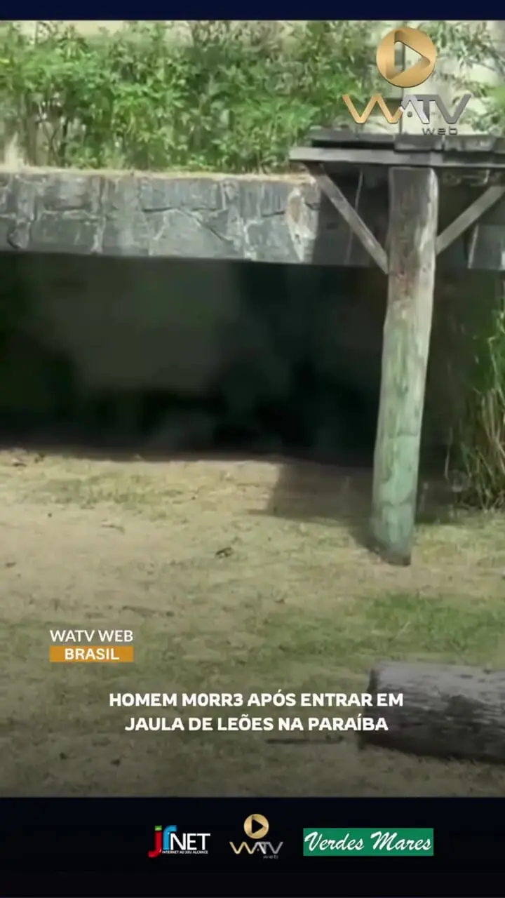 فیلم حادثه خونین در پارک بیکا / حمله شیر به مرد