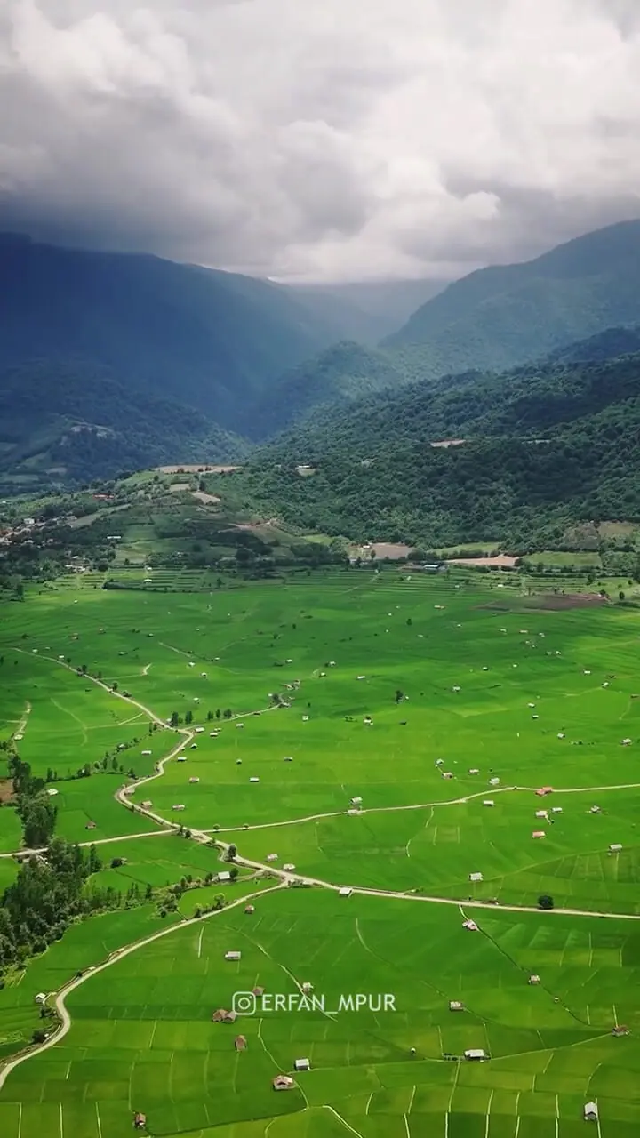 فیلم دشت سرسبز مازندران از نمای هوایی