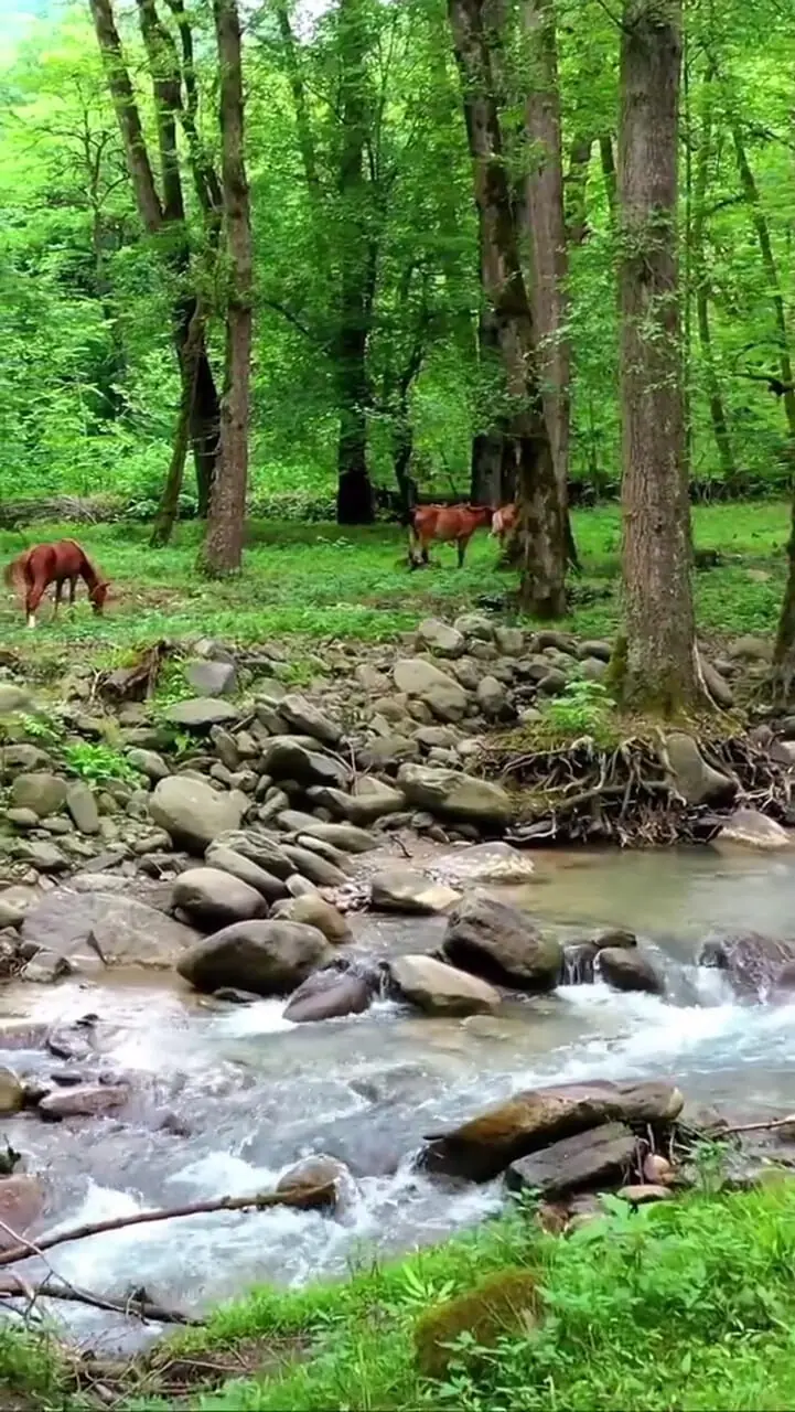 فیلم مسیر آبشار اسکلیم در دل لفور