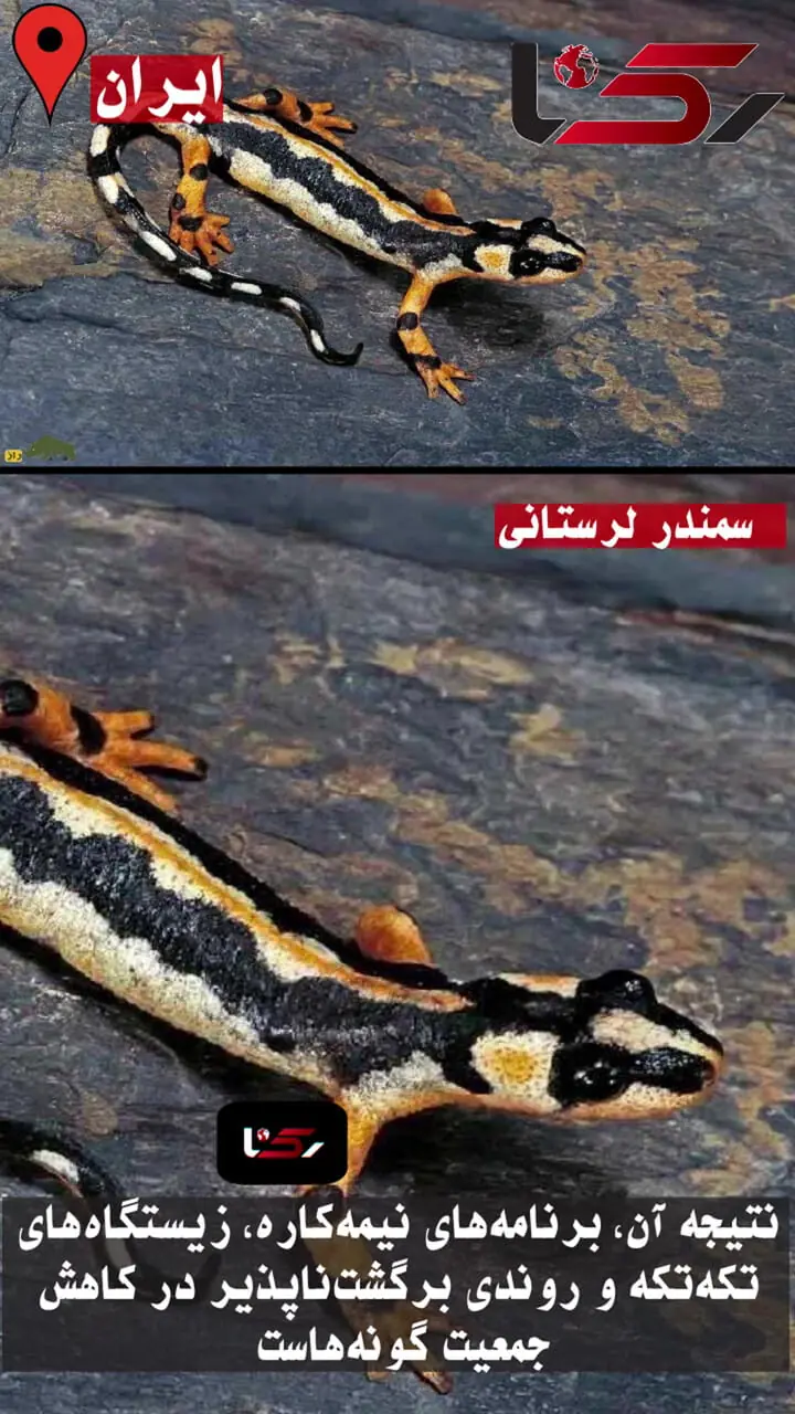 ایران به کانون انقراض حیات وحش تبدیل شده است! / محیط‌زیست ایران گرفتار سازمانی کم توان و کم‌اختیار + فیلم