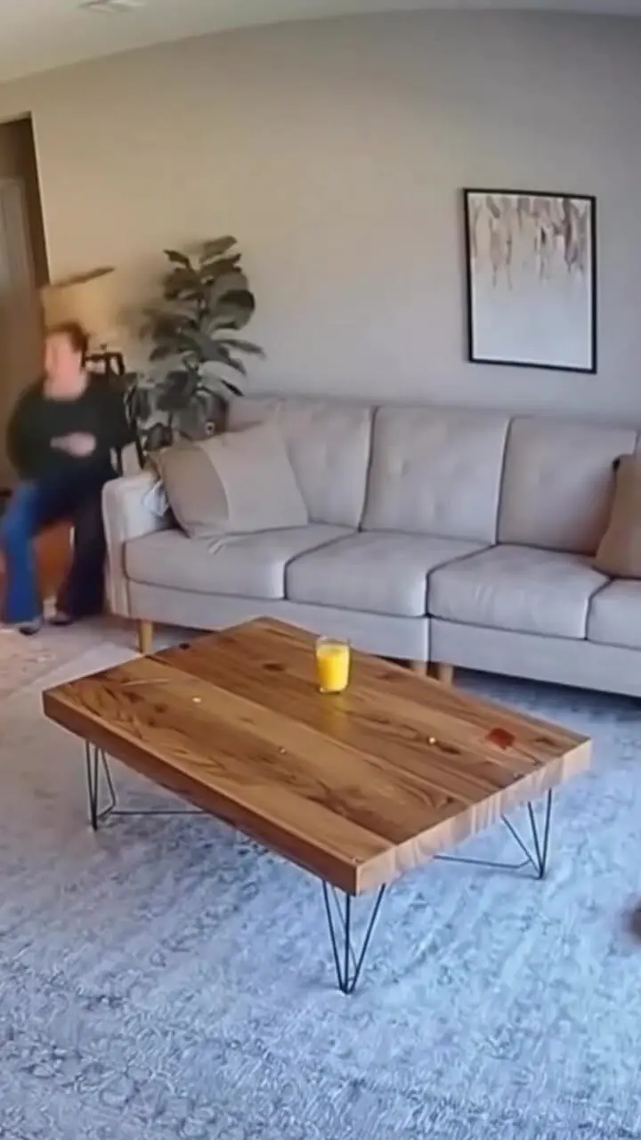 وقتی آرامش خانه با یک شیطنت گربه‌ای نابود می‌شود + فیلم ساخته شده توسط هوش مصنوعی