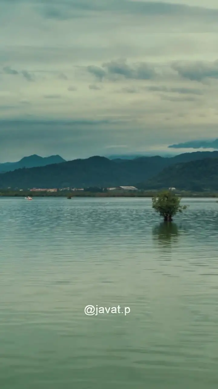 فیلم طبیعت بکر تالاب استیل آستارا