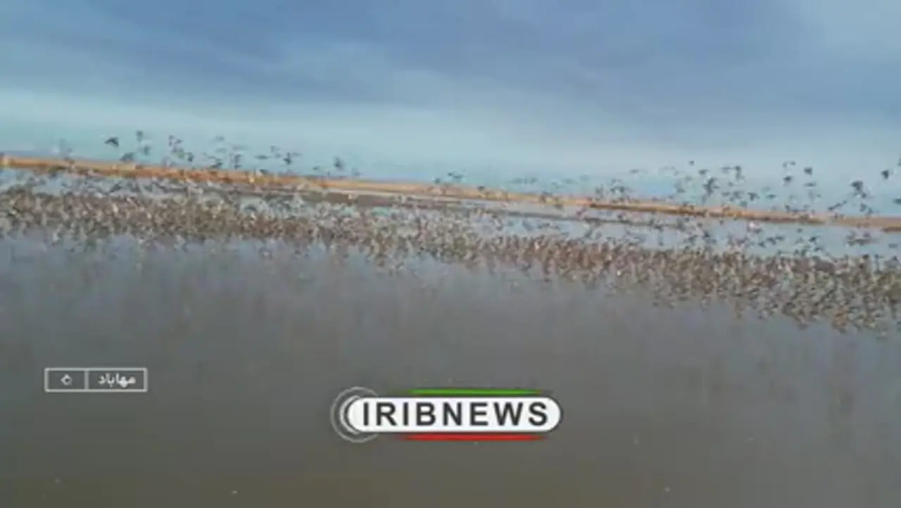 فیلم آغاز به‌کار سامانه پایش هوشمند محیط‌زیست