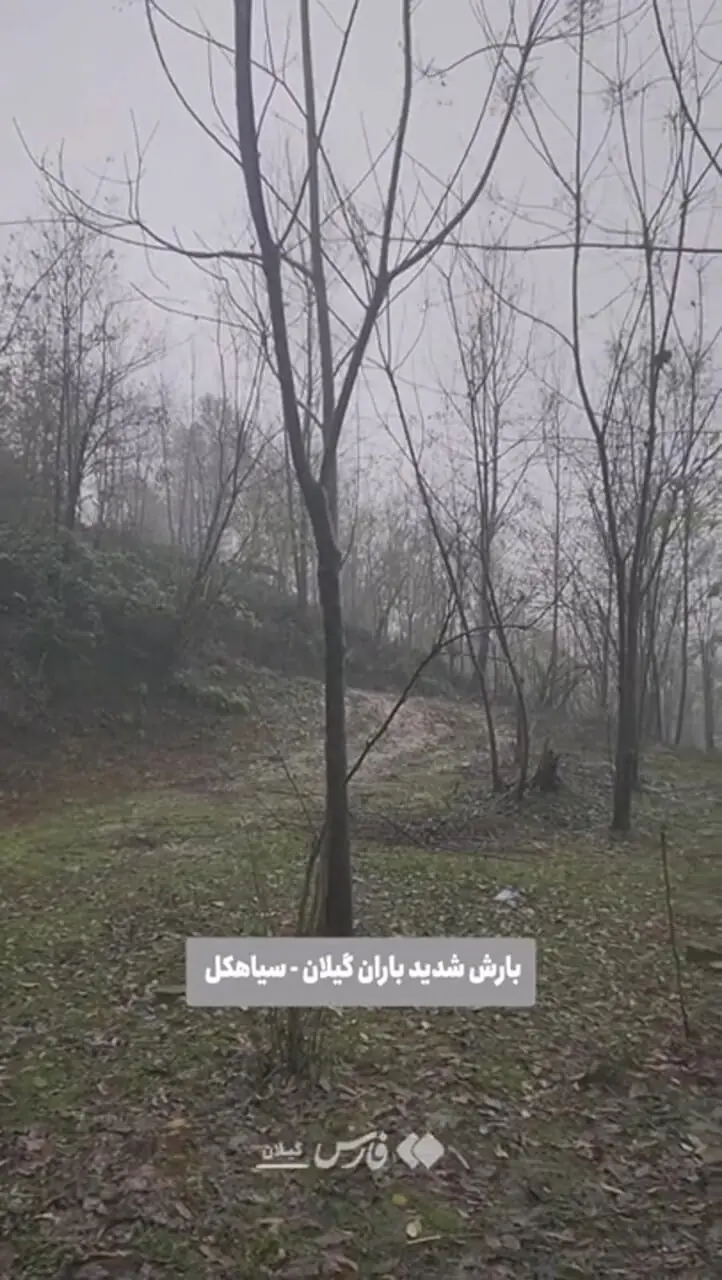 فیلم بارش شدید باران در شهرستان سیاهکل گیلان