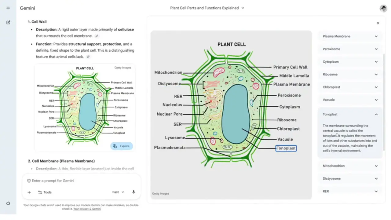 تصویرها حالا حرف میزنن! / گوگل روش یادگیری جدید رو عوض کرد + فیلم