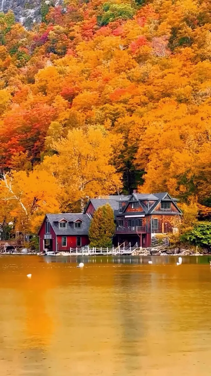 فیلم ۵ شهر آمریکا با بیشترین میلیاردرها