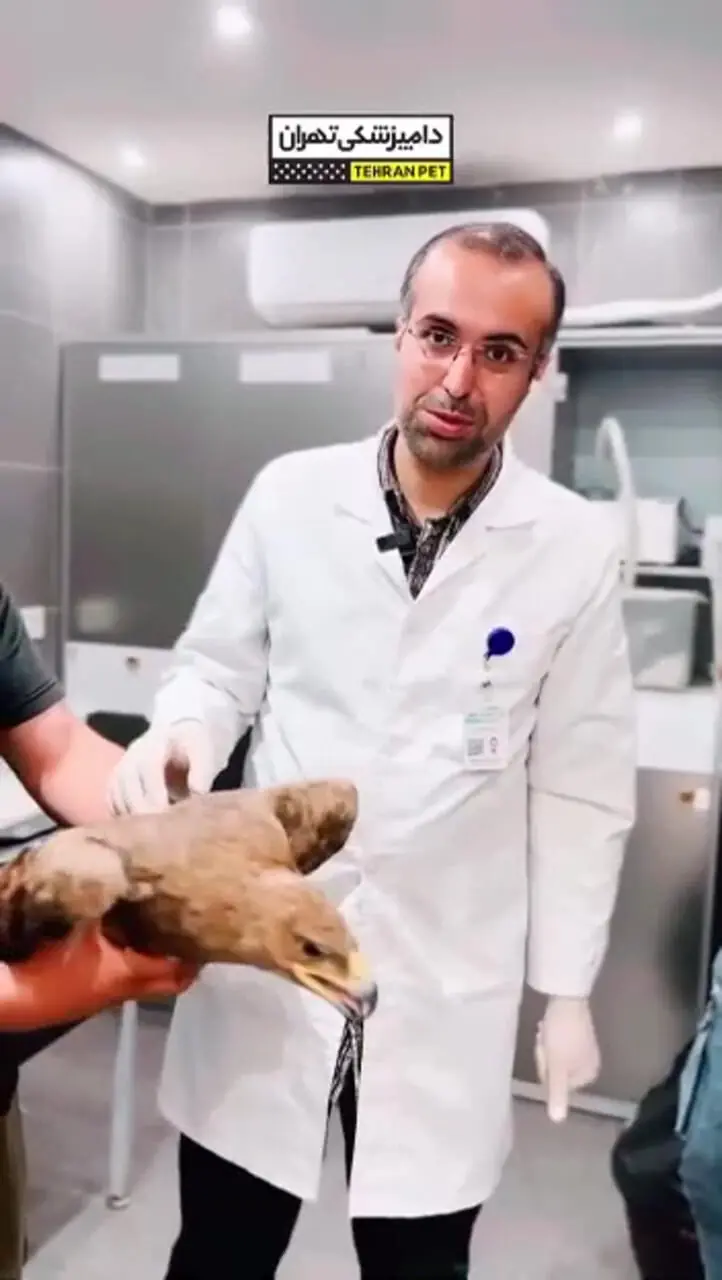 فیلم عقابی که قربانی طلسم و جادو شد