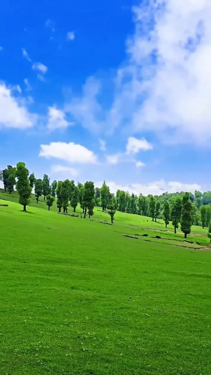 فیلم زیبایی دشت مرکوه مینودشت گلستان