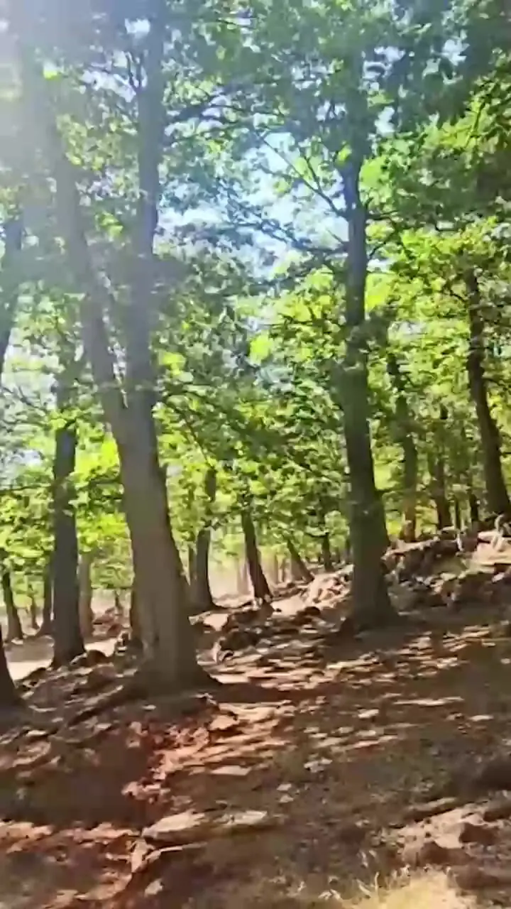 فیلم منظره شگفت انگیز ابرها و کوه درفک