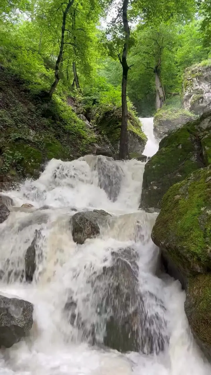 فیلم آبشار پشمکی و مناظر سبز اطراف