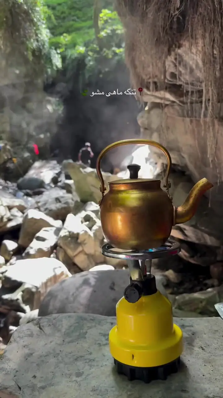 فیلم طبیعت بکر و آب های زلال ماهی مشو