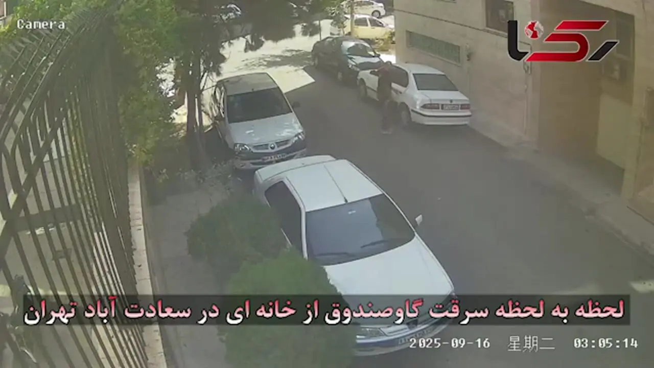 فیلم لحظه به لحظه سرقت گاوصندوق از خانه ای در سعادت آباد تهران 