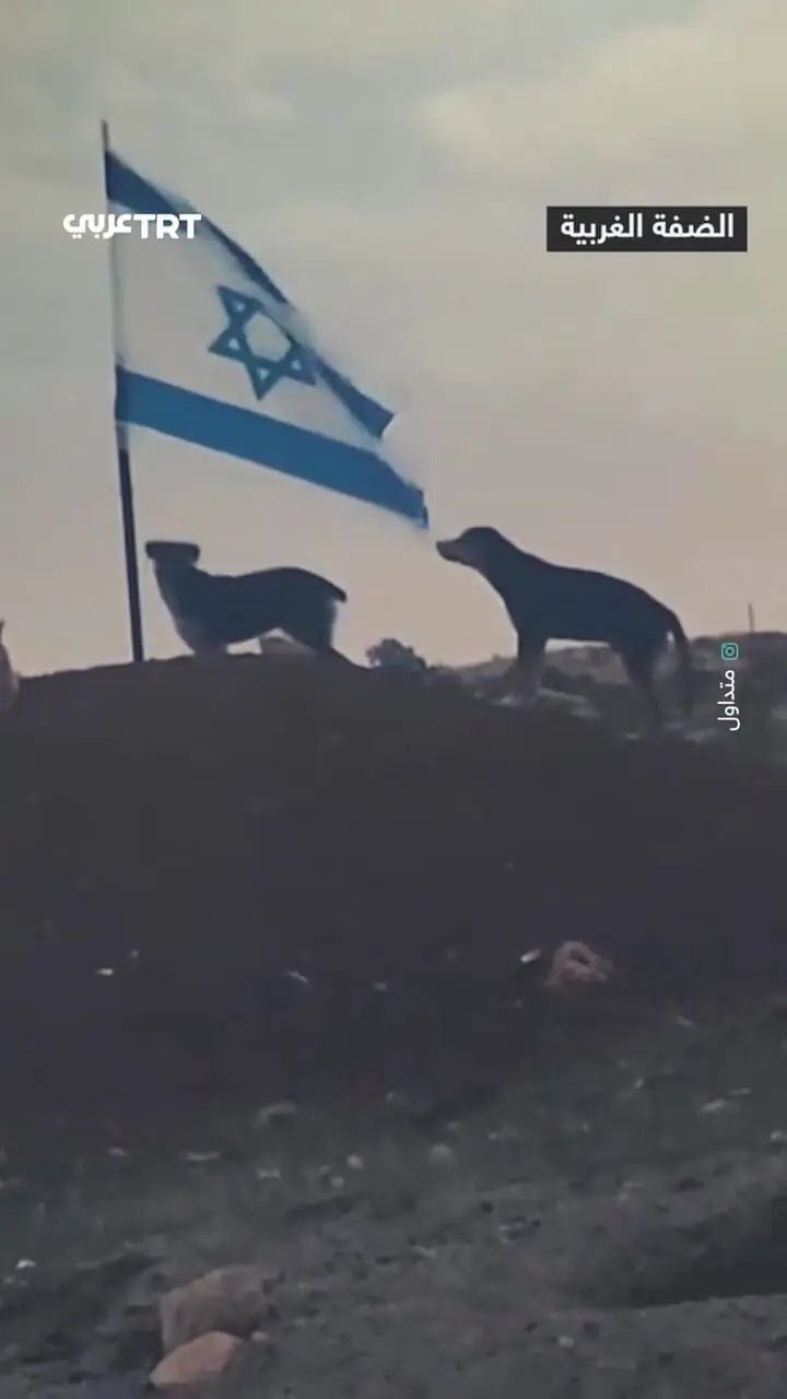فیلم لحظه پاره شدن پرچم اسرائیل توسط سگ ولگرد