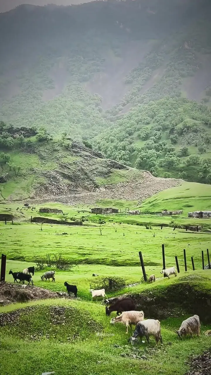 فیلم طبیعت بکر روستای تنگ 7 لرستان