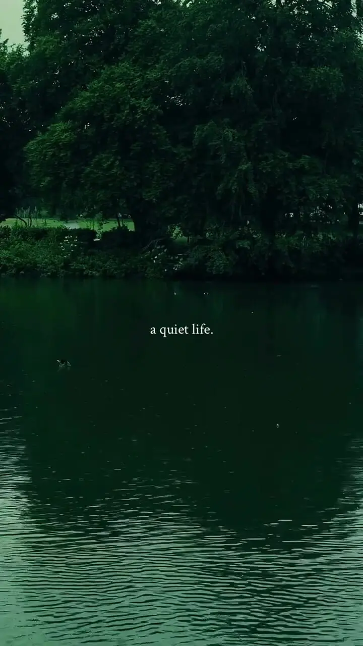 فیلم جذاب از آرامشِ باران در دلِ سبزترین لحظه‌ها