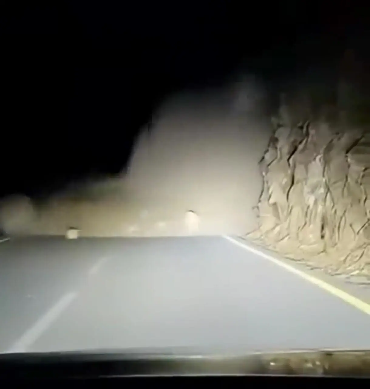 فیلم ریزش کوه پس از توقف ماشین در جاده توسط حیوان کوچک