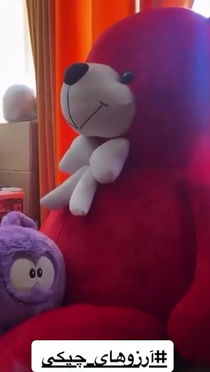 فیلم / کی فکرشو میکرد پشت صحنه خونه زندگی و  اتاق نعیمه نظام دوست اینجوری باشه؟